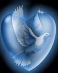 pic for Blue heart dove